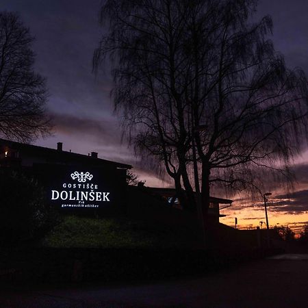 Guesthouse Dolinsek Sevnica Esterno foto
