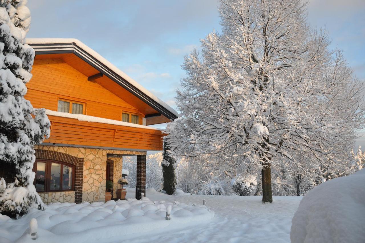 Guesthouse Dolinsek Sevnica Esterno foto